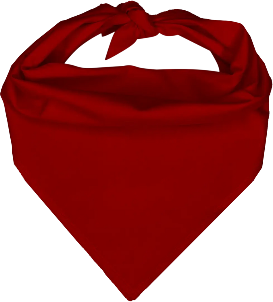 Pet Triangle Solid Bandana, 27X 38X 27, 600Pcs, Red,