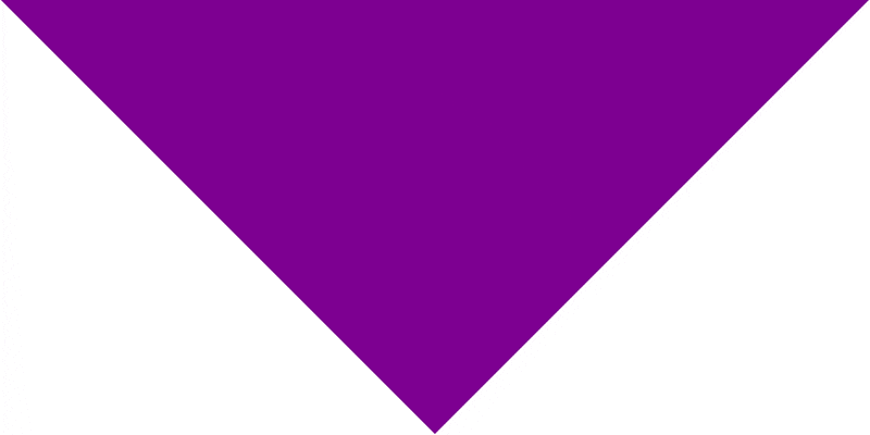 Pet Triangle Solid Bandana, 22X 30X 22, 600Pcs, Grape ,  Purple,